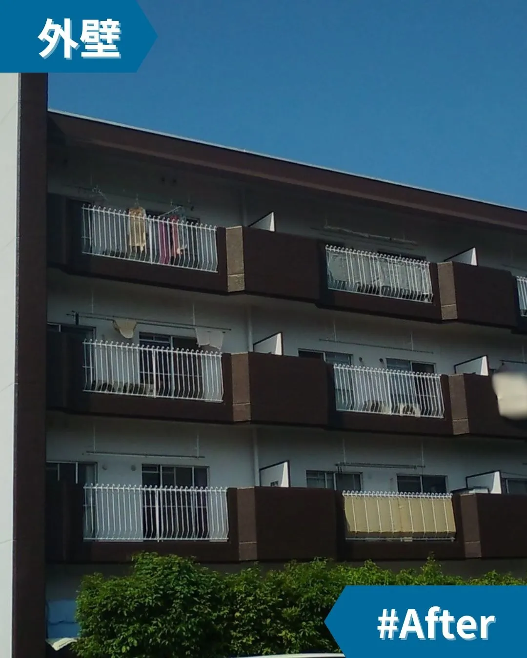 見るたびにホッとする、あたたかみのある茶色の外壁です。